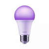 Xiaomi Smart LED Bulb (White and Color)