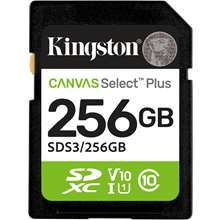 Kingston SDS3/256GB