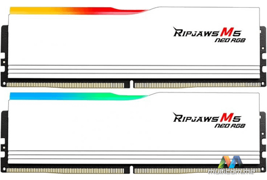 G.Skill F5-6000J3636F32GX2-RM5NRW memorija