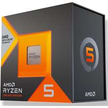 AMD 100-100001904WOF