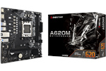 Biostar A620MS