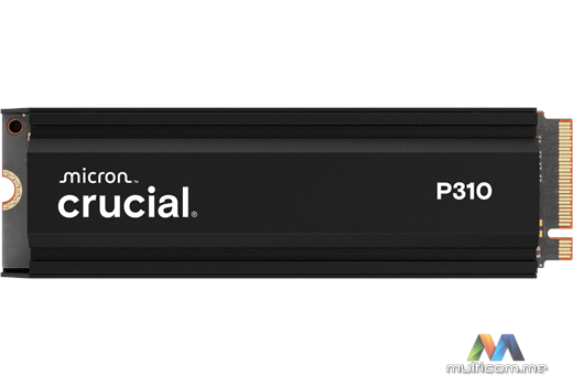 Crucial CT1000P310SSD5 SSD disk