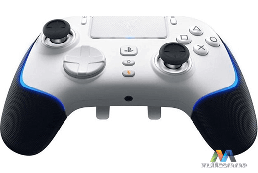 Razer RZ06-04710200-R3G1 gamepad