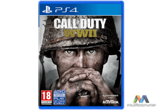 Activision PS4 Call of Duty: WWII igrica
