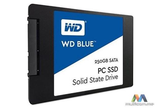 Western Digital WDS250G2B0A SSD disk