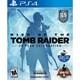 Square Enix PS4 Rise of the Tomb Raider 20th Anniversary igrica