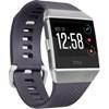 Fitbit Ionic Blue Gray