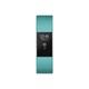 Fitbit Charge 2 Teal Silver Small Smartwatch