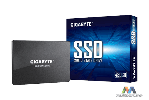 Gigabyte GP-GSTFS31480GNTD SSD disk