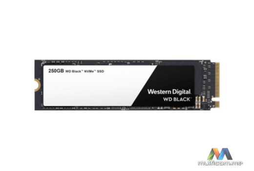 Western Digital WDS250G2X0C SSD disk