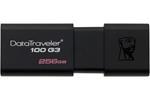 Kingston DT100G3/256GB