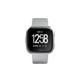 Fitbit Versa FB505SRGY SILVER GRAY Smartwatch