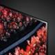 LG OLED55C9MLB Televizor