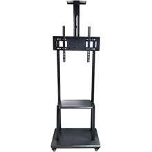 SHORTHORN 1700 Podni 