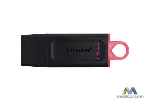 Kingston DTX/256GB