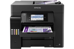 EPSON C11CJ29402