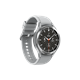 Samsung SM-R890NZSAEUF Smartwatch