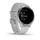 Garmin Venu 2s (Silver) Smartwatch