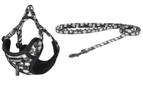 Dogness povodac i pojas set (cvijet)