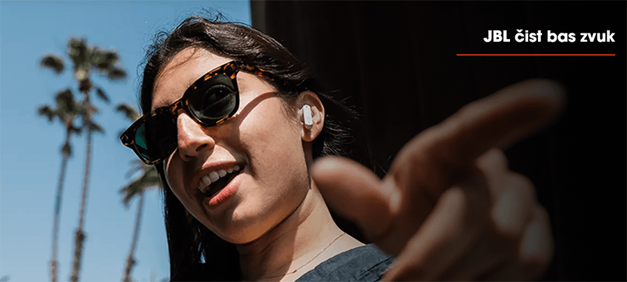 JBL Flex NC in ear (Crna)