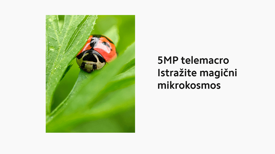 Xiaomi Mi 11 8GB 256GB Midnight Gray