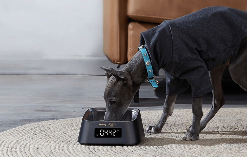 PAWBBY Smart Pet Bowl (MG-ZN001-EU)