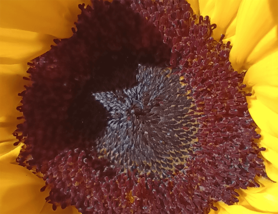 Motorola Moto G72 6GB 128GB (Meteorit Black)