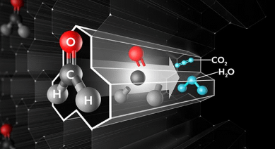 Dyson  HP09 Pure Hot and Cool (White/Gold)