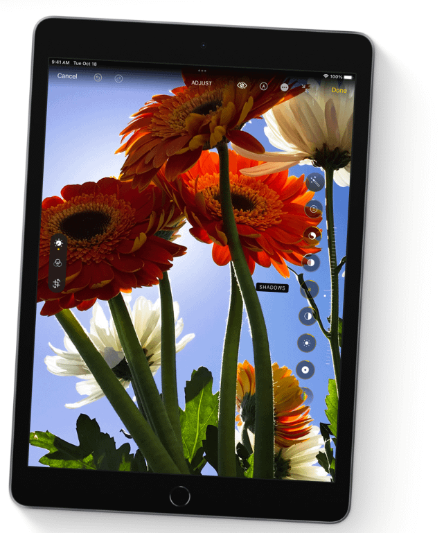 Apple iPad 10.2 (9. gen) grey