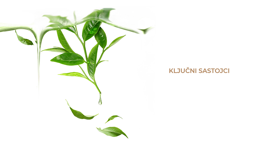 Foreo GREEN TEA (6kom)