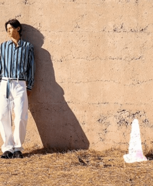 Apple iPhone 17 256GB Black smartphone