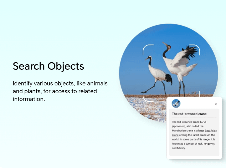 HONOR X6c 6GB 128GB Midnight Black smartphone 