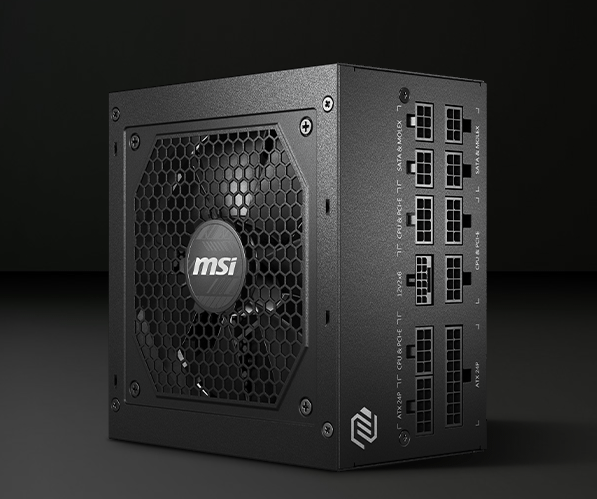 MSI MAG A850GL PCIE5 napajanje