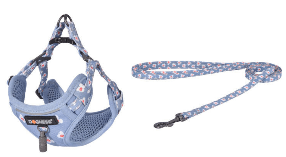 Dogness povodac i pojas set (Plava)