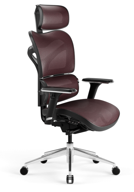 DIABLO V-COMMANDER (Black and Burgundy)