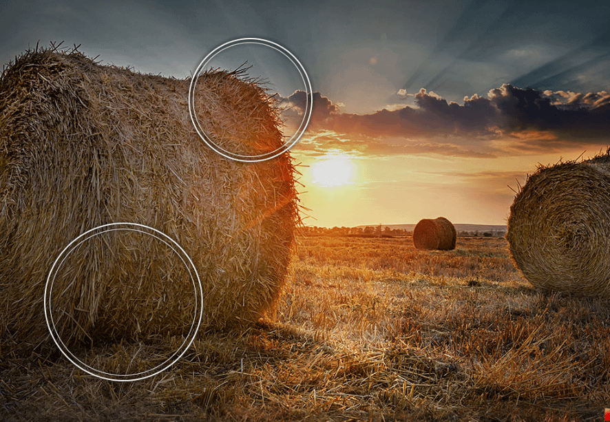 Samsung QE50Q67CAUXXH