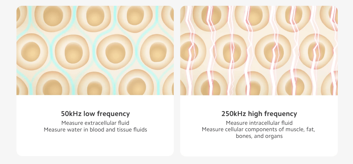 XIAOMI Body Composition Scale S400