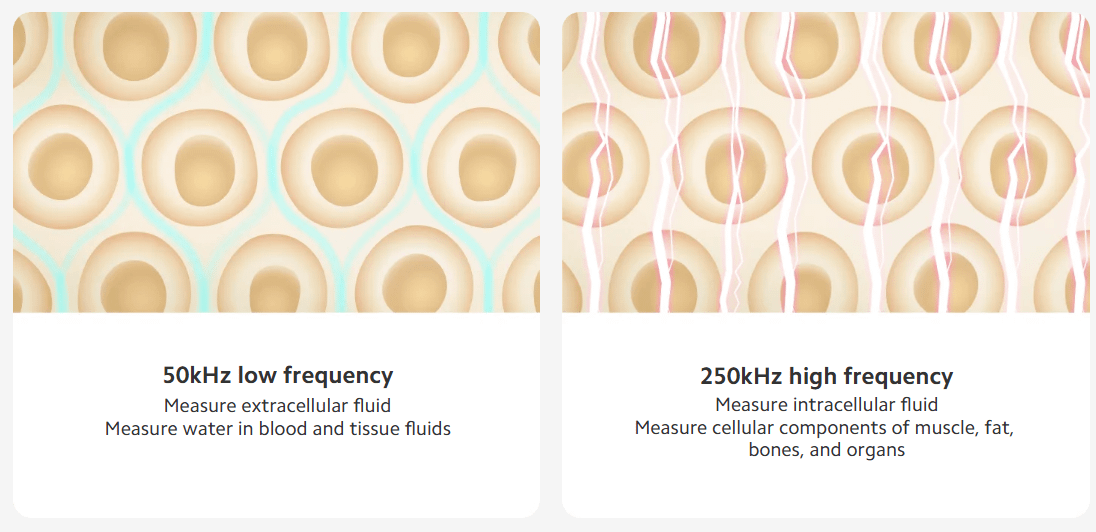 Xiaomi Body Composition Scale S400 pametna vaga