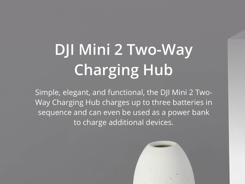 DJI CP.MA.00000328.01