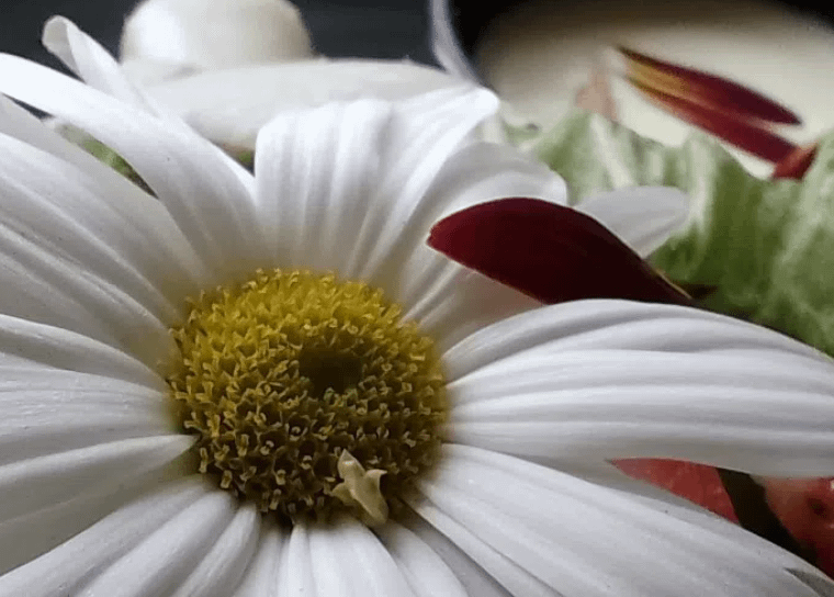 Motorola Moto g14 4GB 128GB (Sky Blue)