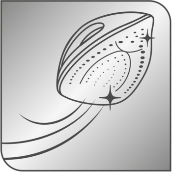 Tefal Express Steam FV2837E0 pegla