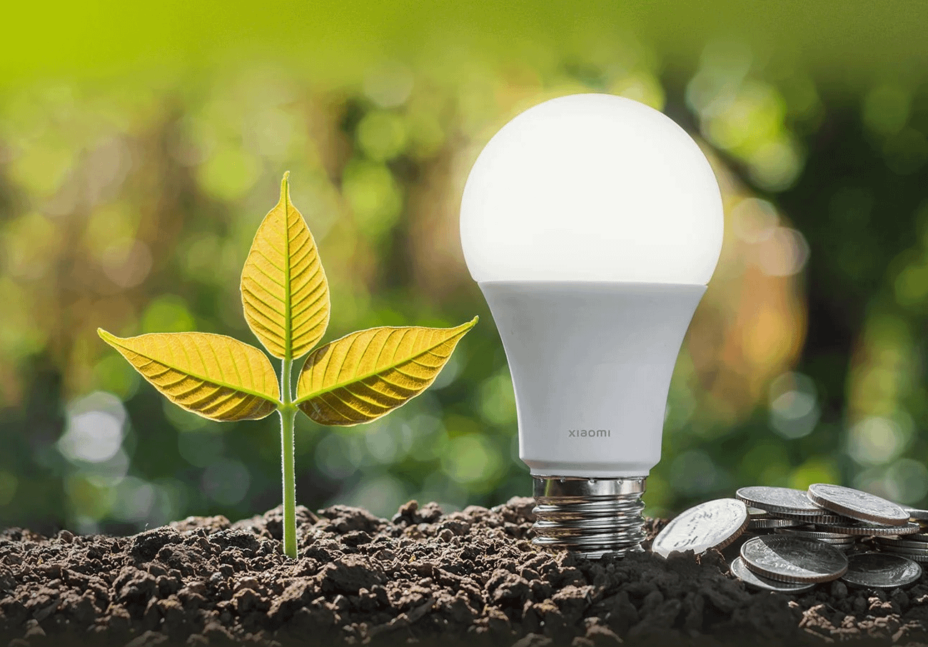 Xiaomi Smart LED Bulb (White and Color)