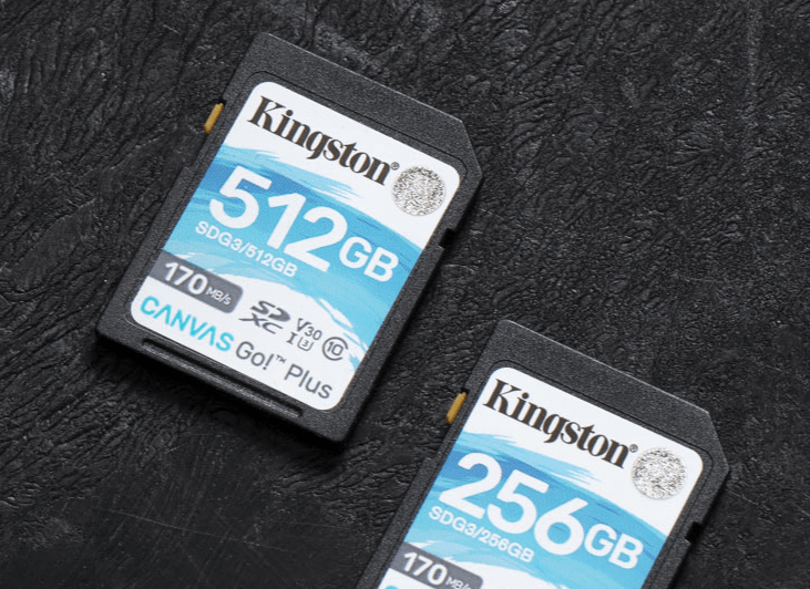 Kingston SDG3/512GB