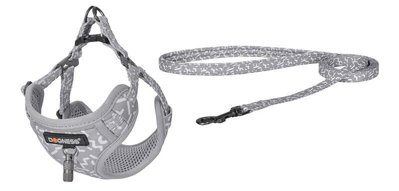 Dogness povodac i pojas set (siva)