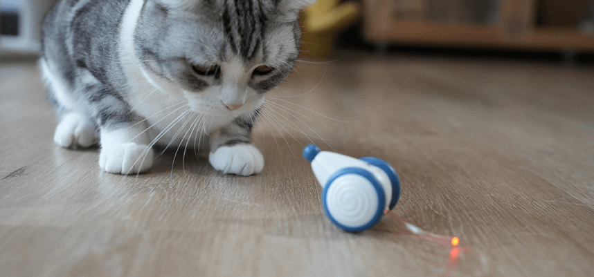 Cheerble C0821 wicked mouse