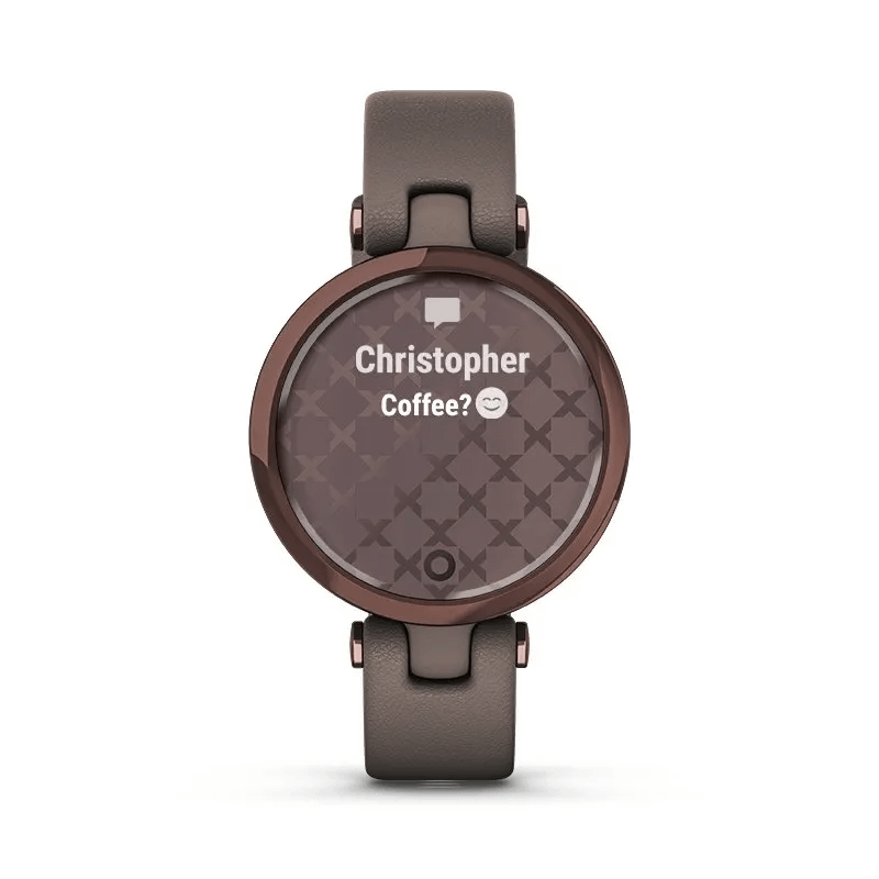 Garmin Lily Classic (Gold White)