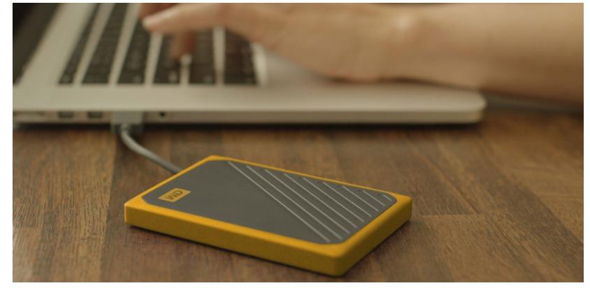 Western Digital WDBMCG5000ABT-WESN