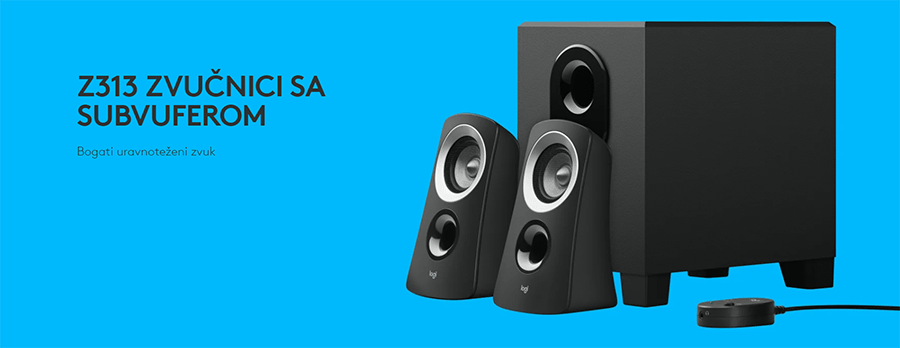 Logitech Z313