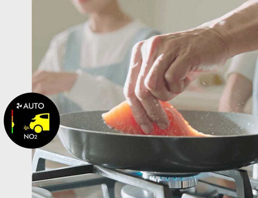 Dyson TP12 Purifier Cool PC2 De-Nox (White / Gold)