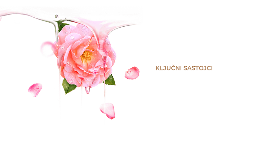 Foreo BULGARIAN ROSE (6kom)